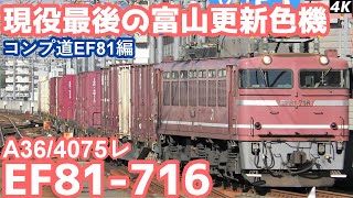 【4K】【現役最後の富山更新色機】JR貨物元富山機関区所属EF81-716牽引貨物列車”A36/4075レ”大分駅到着/発車シーン【コンプリートへの道EF81編】