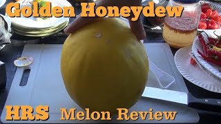 Golden Honeydew Melon | Cucumis melo | melon review