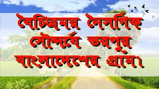 বৈচিত্রময় নৈসর্গিক সৌন্দর্যে ভরপুর বাংলাদেশের গ্রাম