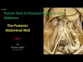 Picture Tests in Anatomy - Abdomen - Posterior Wall 1