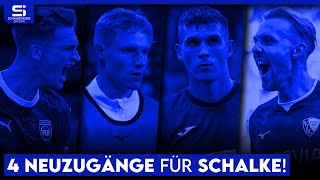 Noch eine Woche! Diese Bankspieler aus der 1. Liga können Schalkes Top-Transfers werden! S04 Analyse