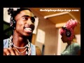 Nicki Minaj Ft 2pac Moment For Life remix 2011