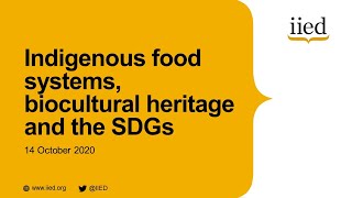 Indigenous food systems, biocultural heritage and the SDGs (session three)