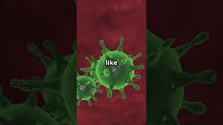 How The Flu Virus Affects Your Body