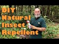 Natural Insect Repellent with Beautyberry