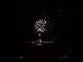 【大大迫力 】2024壱岐島夜空の祭典