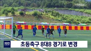 [뉴스데스크]  초등축구 8대8 경기로 변경