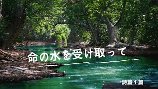 ［礼拝メッセージ］詩篇１篇　命の水を受け取って