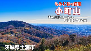 【おすすめ低山】4K 小町山 癒しの沢♪ もみじ谷の紅葉♪朝日峠展望公園からの絶景！茨城県土浦市