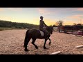 Beatrice smith riding Mika E riders intro 1c September 2024