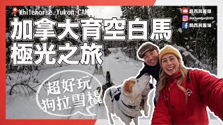 加拿大看極光不只有黃刀鎮 育空白馬極光之旅 狗拉雪橇超推薦 自己做玻璃體驗 (凱西與蓋瑞Cathy and Gary's Vlog Ep.65) feat. @sara_chu