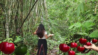 YEAYY PAPRIKA DI KEBUN HUTAN, PANEN dan MASAK