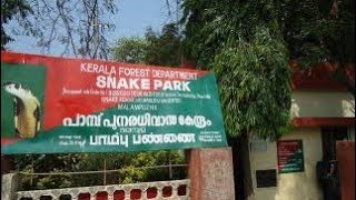 MALAMPUZHA SNAKE PARK 🐍