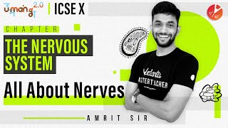 The Nervous System L1 | All About Nerves | ICSE Class 10 Biology | Science Vedantu Class 9 and 10