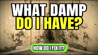 👉 Rising Damp, Penetrating Damp & Condensation Damp | What Damp Do I Have & How to Fix It? DIY guide