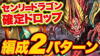 【火曜の闘技場】センリ=ドラゴン確定ドロップ！！シヴァドラ編成2パターンを紹介\u0026解説！！【ふみパズ#773】