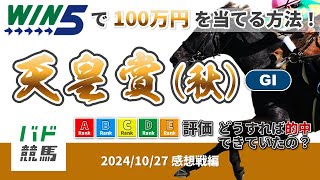 【WIN5で100万円：感想戦編】 2024年10月27日（日）天皇賞（秋）【競馬】