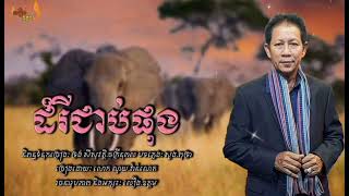 ដំរីជាប់ផុង || ណូយ.វ៉ាន់ណេត