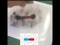 Magnetic Field Lines Experiment