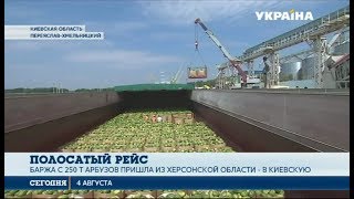 Баржа с арбузами приплыла из Херсонской области в Киевскую