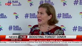 Boosting forest cover: Kenya green hydrogen strategy is a game changer