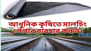 মালচিং পেপার ২৫ মাইক্রন অর্ডার করতে কল করুন  ০১৭১২-২৯৪৭২০