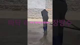 바닥 레미탈 방수 미장중 #kspnc #construction #방수미장#shorts