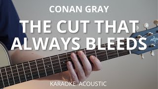 The Cut That Always Bleeds - Conan Gray (Acoustic Karaoke)