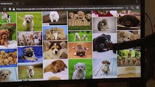 Clevertouch Full