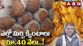 ఎల్లో మిర్చి క్వింటాలు రూ.40 వేలు..! ||   || ABN Digital