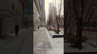 Snow on Dundas Street 🇨🇦, #downtown #downtown #toronto #downtowntoronto #shorts