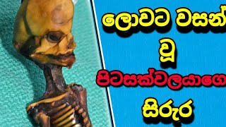 Mysterious alien mummy මුලු ලොවම මවිතයට පත් කෙරූ පිටසක්වලයාගෙ සිරුරක් හමුවේ