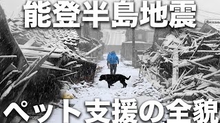 【全て見せます】大雪の大捜索！能登半島ペット支援の全貌