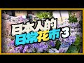 【日本園藝店-3】日本網紅植物(上)。這些小草花也太可愛，厲害一點的綠手指，台灣也可以種得起來喔。