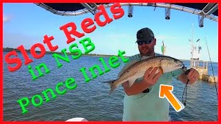 Slot Red Fish Ponce Inlet New Smyrna Beach