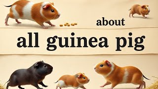 The Ultimate Guinea Pig Guide.