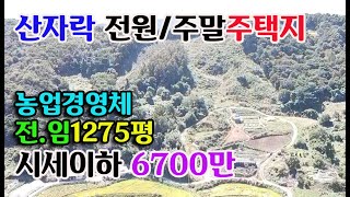 [저렴한 매물]예산군 광시면 산자락 전원/주말주택지1275평/6700만원 귀농귀촌 싼땅 전문 에산부동산 홍성부동산 부동산필