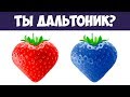 ТЕСТ НА ЗРЕНИЕ. Ты дальтоник? ПРОВЕРЬ СЕБЯ | БУДЬ В КУРСЕ TV