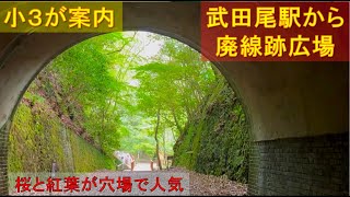 【武田尾廃線跡】武田尾駅からハイキングで桜花見と紅葉(もみじ)の穴場で人気