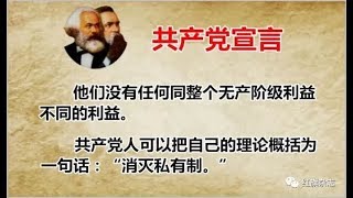 胡平：如何看待当今既呼唤文革又反对消灭私有制的思潮？