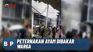 Kesal! Ratusan Warga Bakar Peternakan Ayam - BIP 26/11