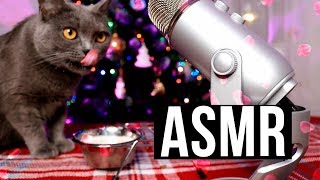 ASMR 😱 КОШКА ПРОБУЕТ АСМР В ПЕРВЫЙ РАЗ! 💤 ASMR CAT Eating, Licking, Purring