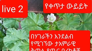 እንደልብ በአካባቢያችን የሚገኘው አስደናቂ የጤና በረከት ያለው ቅጠል