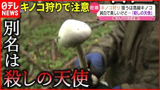 【キノコ】奥深き”毒キノコ”の世界… 気を付けるポイントは？　宮城　NNNセレクション