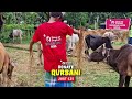 Pledge Your Qurbani Today