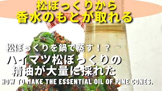 【安い♪簡単♪自作♪水蒸気蒸留器】アロマオイル(精油)が自宅で大量に作れる。松ぼっくりの新しい遊び♪松ぼっくりから香水のもとが作れた。How to make aroma oil.