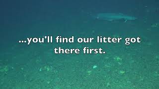 Litter in the Deep Sea