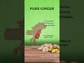 best ginger in northeast spices ginger vocalforlocal