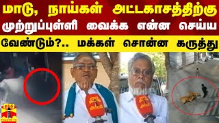 மாடு, நாய்கள் அட்டகாசத்திற்கு முற்றுப்புள்ளி வைக்க என்ன செய்ய வேண்டும்?.. மக்கள் சொன்ன கருத்து