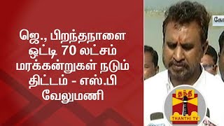 ஜெ., பிறந்தநாளை ஒட்டி 70 லட்சம் மரக்கன்றுகள் நடும் திட்டம் - எஸ்.பி வேலுமணி